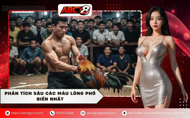 Phân tích sâu các màu lông phổ biến nhất