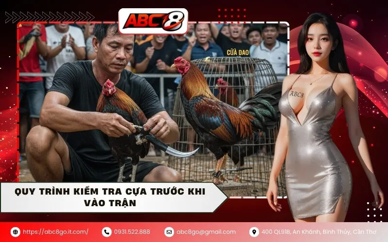 Quy trình kiểm tra cựa trước khi vào trận